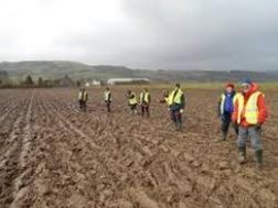15-field-walk-2