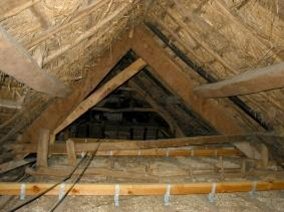 21-ew-house-roof-1