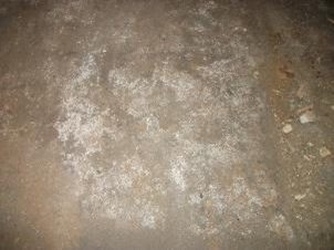 30-hall-floor-1