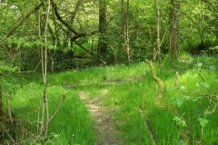 01-dscf1422