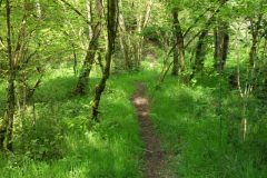 02-dscf1423