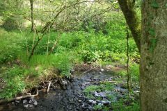 03-dscf1424