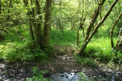 04-dscf1425