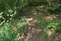 05-dscf1426