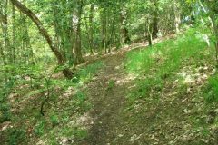 06-dscf1427
