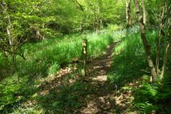 07-dscf1428
