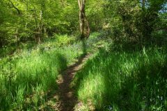08-dscf1429
