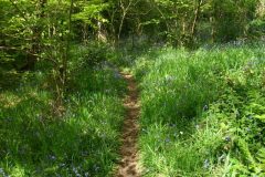 09-dscf1430