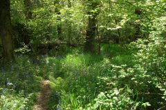 13-dscf1434