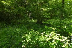 14-dscf1435