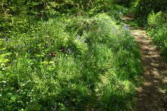 15-dscf1436
