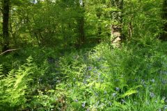 16-dscf1437