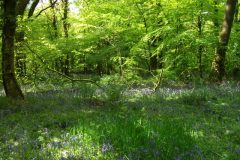 17-dscf1438