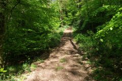 18-dscf1439