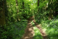 20-dscf1441