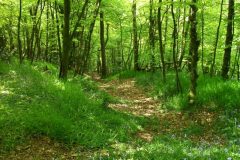 21-dscf1442