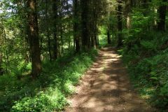 22-dscf1443