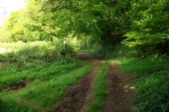 23-dscf1444