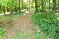 24-dscf1445