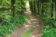 25-dscf1446
