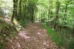 27-dscf1448