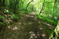 28-dscf1449