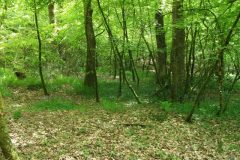 30-dscf1451