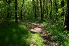 31-dscf1452
