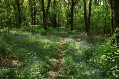 33-dscf1454