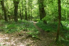 35-dscf1456