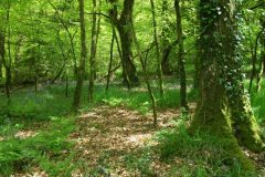 37-dscf1458