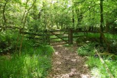 38-dscf1459