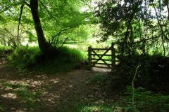 39-dscf1460