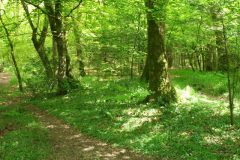 40-dscf1461