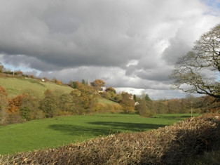 River Dart Rural Scene