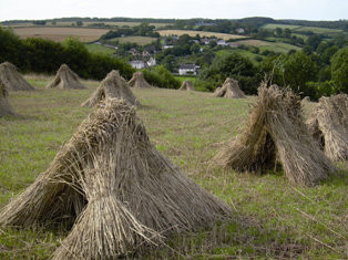 https://ewph.uk/wp-content/gallery/community-area-pages/W-Worlington-hay-stacks.jpg