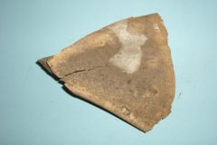 Bone 03