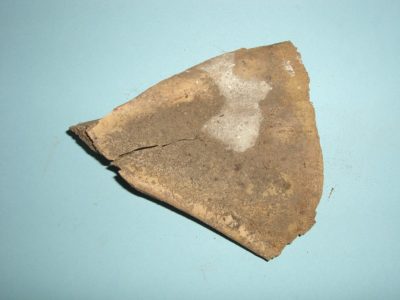 Bone 03