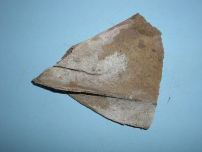 Bone 04