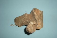 Bone 07