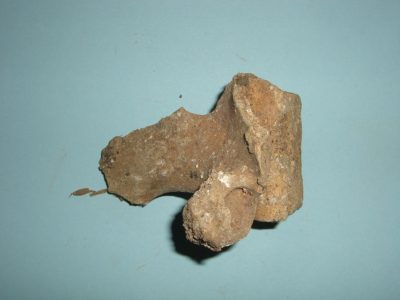 Bone 07