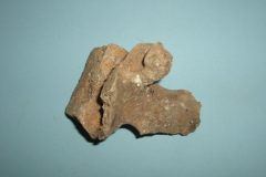 Bone 08