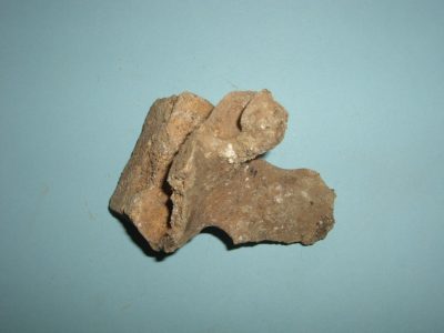 Bone 08