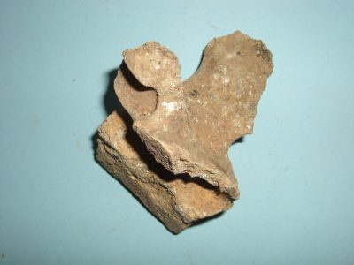 Bone 09