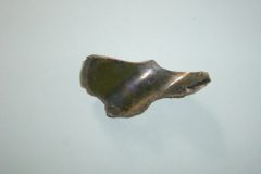 Broken bottle 1