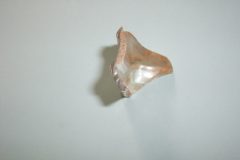 Broken bottle 4