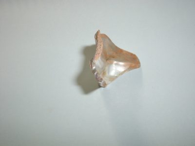 Broken bottle 4