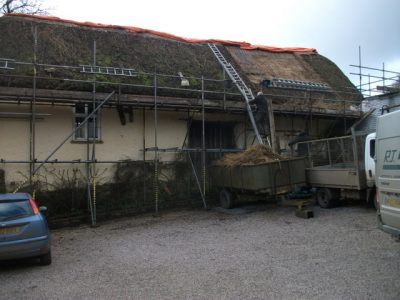 Thatcher-starts-1-250116