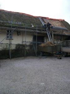 Thatcher-starts-2-250116