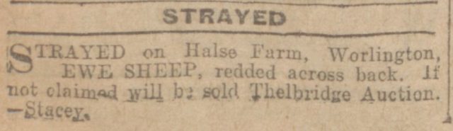 Western_Times_28_December_1923_Halse Sheep Strayed.jpg